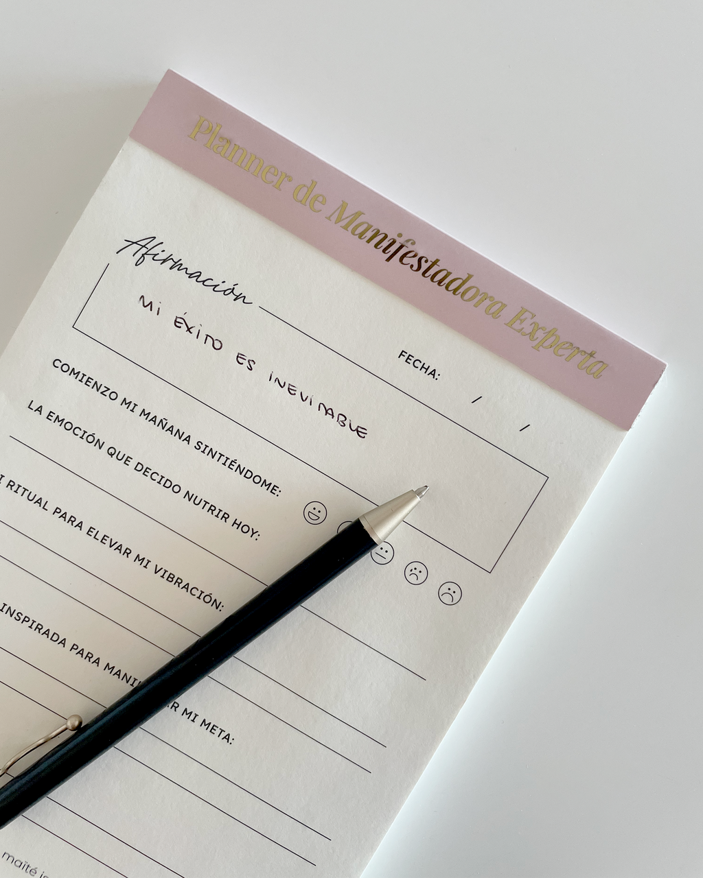 Planner Diario